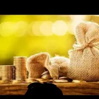 نیازمند ضامن