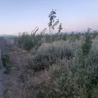 باغچه پیشک چهاردیواری