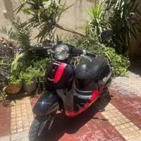 هوندا اسکوپی پاکشتی گرینو