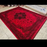 لاکی جدید ارازی پادادشهر خ حافظ