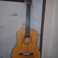 گیتار درحد نو