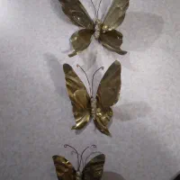 پروانه برنز