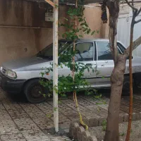 راننده هستم