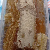 عسل طبیعی و ارگانیک بشرط آزمایش