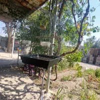 قفس پایه دارهمراه لونه پرنده