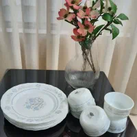 تعدادی ظروف وظروف گل سرخی