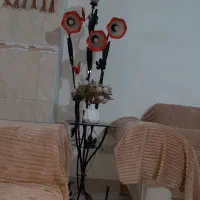 ابازور لاله ای