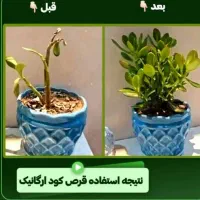 قرص کود+تضمینی