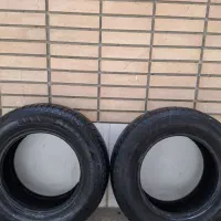 دوحلقه لاستیک
