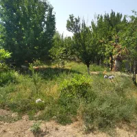 خانه ی ویلایی در روستا