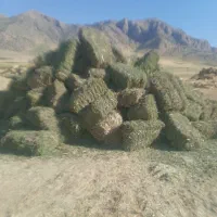 یونجه ( زیر قیمت)