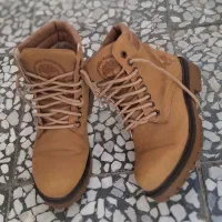 تعدادی کفش