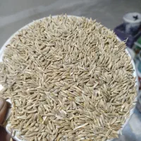 فروش جو