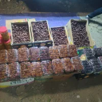 خرما خاصویی، آلویی