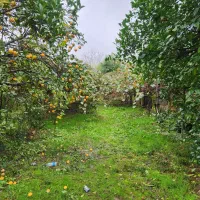 اجاره خونه باغ