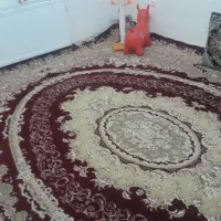 قالی ۱۲ متر ۷۰۰ شانه  ۳میلیون