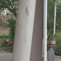 موکت پالاز ۴۰