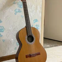 گیتار دالاهو