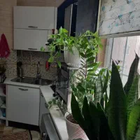 اجاره سه خواب  /معلم / پشت خانه کیک بر اصلی