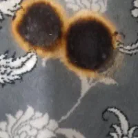رفوگری تخصصی فرش