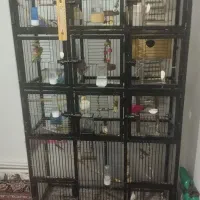 فروش قفس پرندگان آهنی و مقاوم