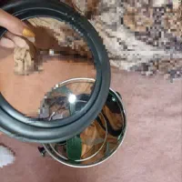 سبزی خورد کن