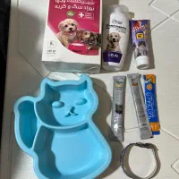 لوازم گربه،  بچه گربه