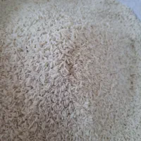 برنج دشتک و شیرین دره و هاشمی