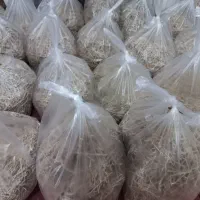 رشته بوداده محلی، جم ،ارسال رایگان