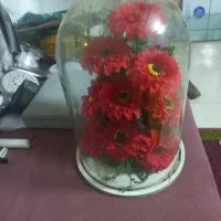 یک عدد باکس گل شیشه ایی