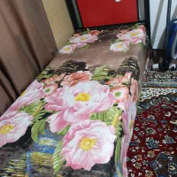 تخت تک نفره با خوش،خواب بدون کفی