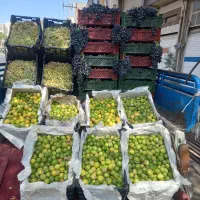 لیمو ترش آبگیری.انگور سیاه