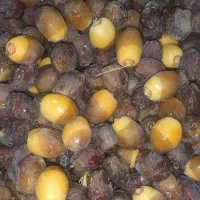 حلیلی|خوردنی و آشامیدنی|داراب, |دیوار