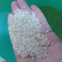 برنج