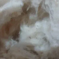 20کیلو پنبه مناسب تشک دونفره و...