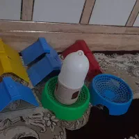 وسایل کفتر