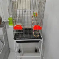 قفس محکم و درجه یک