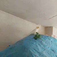 عروس هلندی