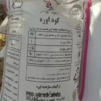 کوداوره