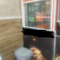 یخچال و پیشخوان تاپینگ دار