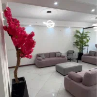 فیشیالیست ماهر