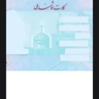 کیف مدارک گمشده به نام محمدجواد اخروی