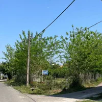 زمین-مسکونی-سند-تک-برگ-صومعه-سرا