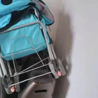 یک عدد کالسکه و بخاری