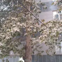 فروش واحد۶۴مترمهرشهربلوار ارم