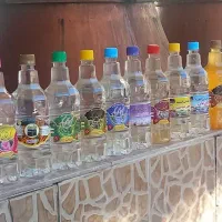 پخش گلاب و عرقیجات گیاهی قمصر