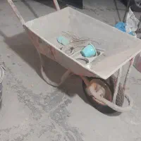 فرقون