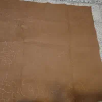 موکت سالم