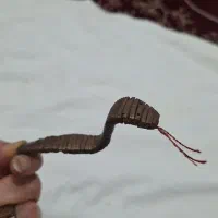 تسبیح هسته ی خرما طرح مار کبرا دست ساز روکش شده