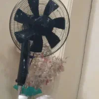 پنکه ناسیانول